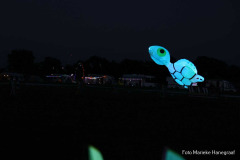 Rijsbergse Vliegerdagen 16 en 17 Augustus 2025