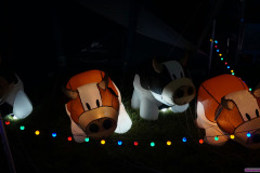 Rijsbergse Vliegerdagen 16 en 17 Augustus 2025