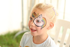 Rijsbergse Vliegerdagen 16 en 17 Augustus 2025