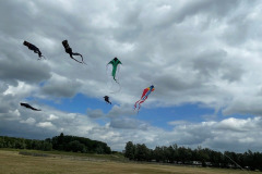 Vlieger happening linkeroever Antwerpen 25 Mei 2025