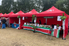 Vlieger happening linkeroever Antwerpen 25 Mei 2025