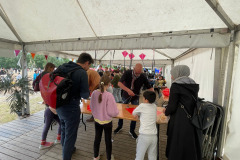 Vlieger happening linkeroever Antwerpen 25 Mei 2025