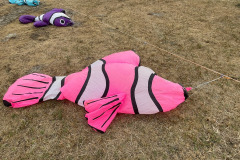 Vlieger happening linkeroever Antwerpen 25 Mei 2025