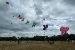 Vlieger happening linkeroever Antwerpen 25 Mei 2025