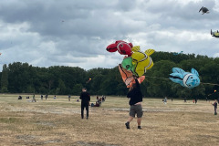 Vlieger happening linkeroever Antwerpen 25 Mei 2025