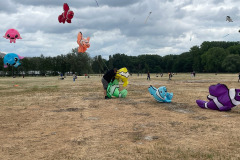 Vlieger happening linkeroever Antwerpen 25 Mei 2025