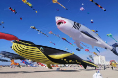 Vliegerfestival Berck sur Mer (FR) 23 t/m 26 April 2026
