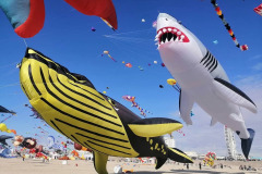 Vliegerfestival Berck sur Mer (FR) 23 t/m 26 April 2026