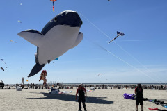Vliegerfestival Berck sur Mer (FR) 23 t/m 26 April 2026