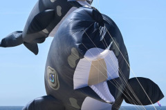 Vliegerfestival Berck sur Mer (FR) 23 t/m 26 April 2026