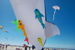 Vliegerfestival Berck sur Mer (FR) 23 t/m 26 April 2026