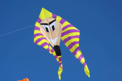 Vliegerfestival Berck sur Mer (FR) 23 t/m 26 April 2026
