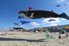 Vliegerfestival Berck sur Mer (FR) 23 t/m 26 April 20265