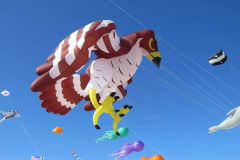Vliegerfestival Berck sur Mer (FR) 23 t/m 26 April 2026