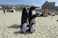 Vliegerfestival Berck sur Mer (FR) 23 t/m 26 April 2026