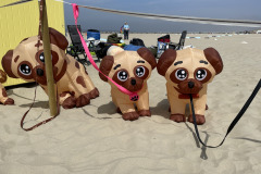 Vliegerfestival Berck sur Mer (FR) 23 t/m 26 April 2026