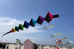 Vliegerfestival Berck sur Mer (FR) 23 t/m 26 April 2026