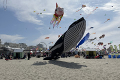 Vliegerfestival Berck sur Mer (FR) 23 t/m 26 April 2026