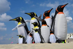 Vliegerfestival Berck sur Mer (FR) 23 t/m 26 April 2026