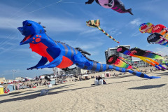 Vliegerfestival Berck sur Mer (FR) 23 t/m 26 April 2026