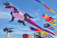 Vliegerfestival Berck sur Mer (FR) 23 t/m 26 April 2026
