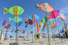 Vliegerfestival Berck sur Mer (FR)  17 t/m 21 April 2025pril 2025