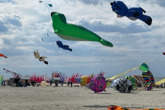 Vliegerfestival Berck sur Mer (FR)  17 t/m 21 April 2025 2025