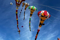 Vliegerfestival Berck sur Mer (FR)  17 t/m 21 April 2025