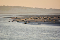 Vliegerfestival Berck sur Mer (FR)  17 t/m 21 April 20255
