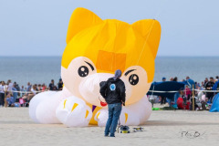 Vliegerfestival Berck sur Mer (FR)  17 t/m 21 April 2025