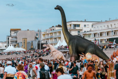 Vliegerfestival Berck sur Mer (FR)  17 t/m 21 April 2025