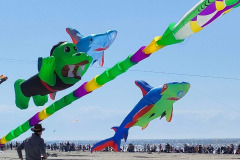 Vliegerfestival Berck sur Mer (FR)  17 t/m 21 April 2025