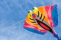 Vliegerfestival Berck sur Mer (FR)  17 t/m 21 April 2025