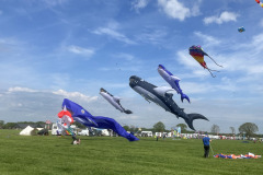 Vliegerfestival  Valkenswaard 1 t/m 3 Mei 2026
