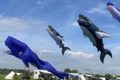 Vliegerfestival  Valkenswaard 1 t/m 3 Mei 2026