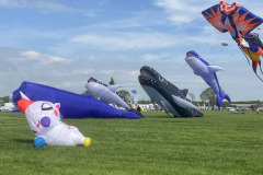 Vliegerfestival  Valkenswaard 1 t/m 3 Mei 2026