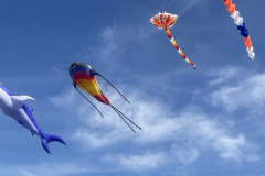 Vliegerfestival  Valkenswaard 1 t/m 3 Mei 2026