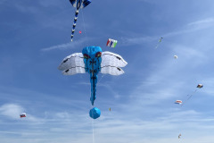 Vliegerfestival  Valkenswaard 1 t/m 3 Mei 2026