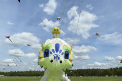 Vliegerfestival  Valkenswaard 1 t/m 3 Mei 2026