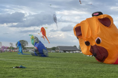 Vliegerfestival  Valkenswaard 1 t/m 3 Mei 2026