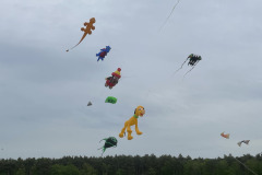 Vliegerfestival  Valkenswaard 1 t/m 3 Mei 2026