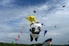 Vliegerfestival Valkenswaard 3 en 4 Mei 2025