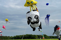 Vliegerfestival Valkenswaard 3 en 4 Mei 2025