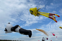 Vliegerfestival Valkenswaard 3 en 4 Mei 2025