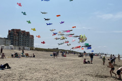 Vliegerfestival Westende (B) 14 en 15 Juni 2025
