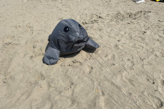 Vliegerfestival Westende (B) 14 en 15 Juni 2025