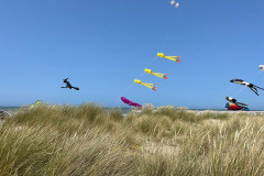 Vliegerfestival Westende (B) 14 en 15 Juni 2025