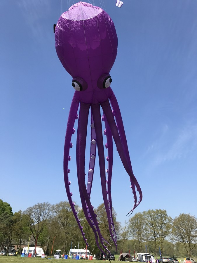 Octopus (35 meter)