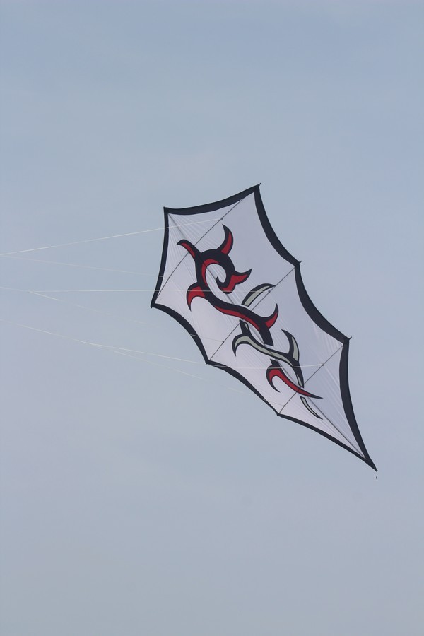 Tribal kite
