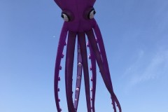 Octopus (35 meter)
